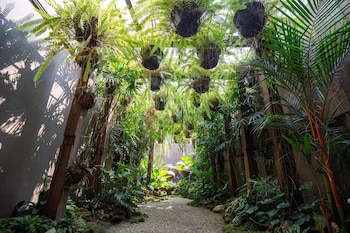 the bridge an eclectic luxotel chiangmai