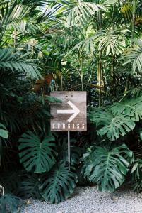 sunkiss pool bed cafe