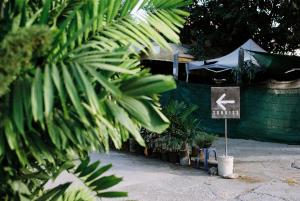 sunkiss pool bed cafe