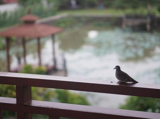thaihome resort