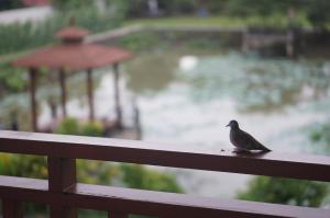 thaihome resort