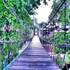 pruksa valley resort