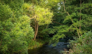 bodetaler basecamp lodge