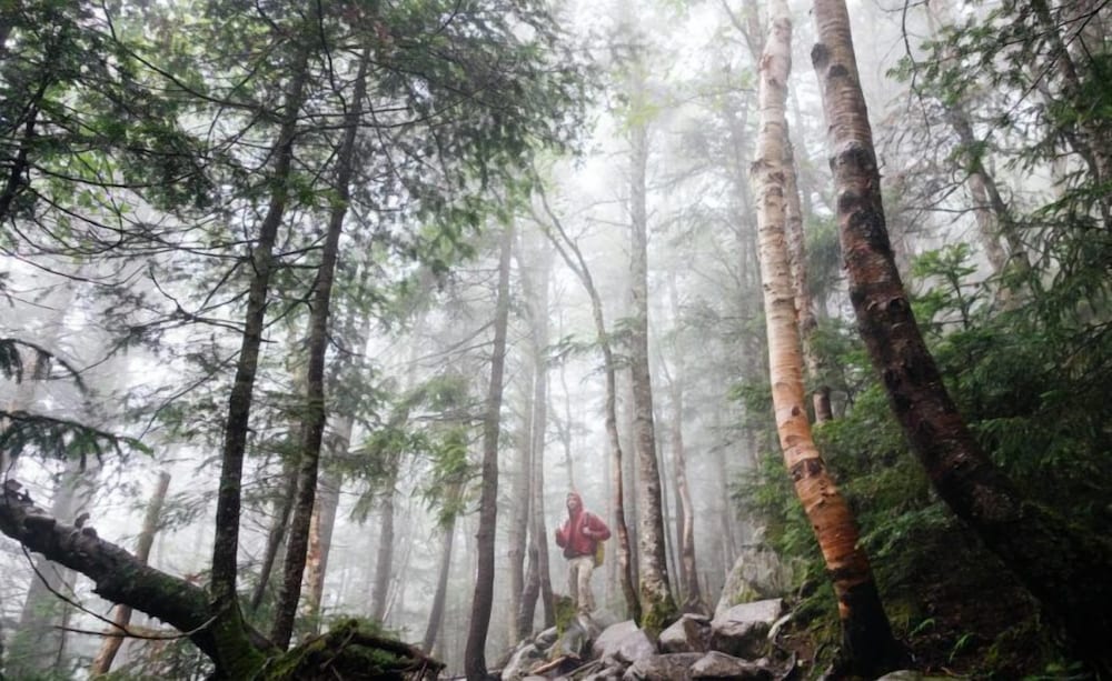 bodetaler basecamp lodge