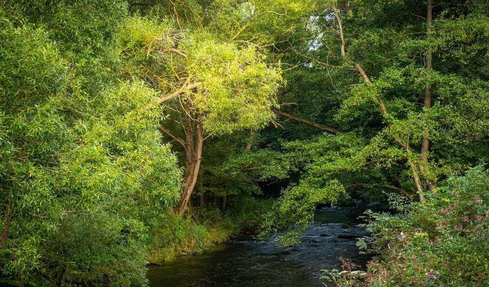 bodetaler basecamp lodge