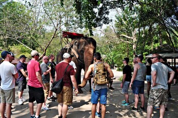 the jungle house khaoyai