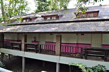 the jungle house khaoyai
