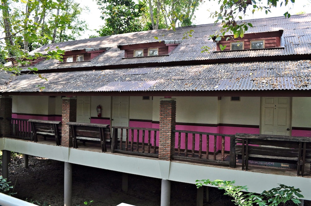 the jungle house khaoyai