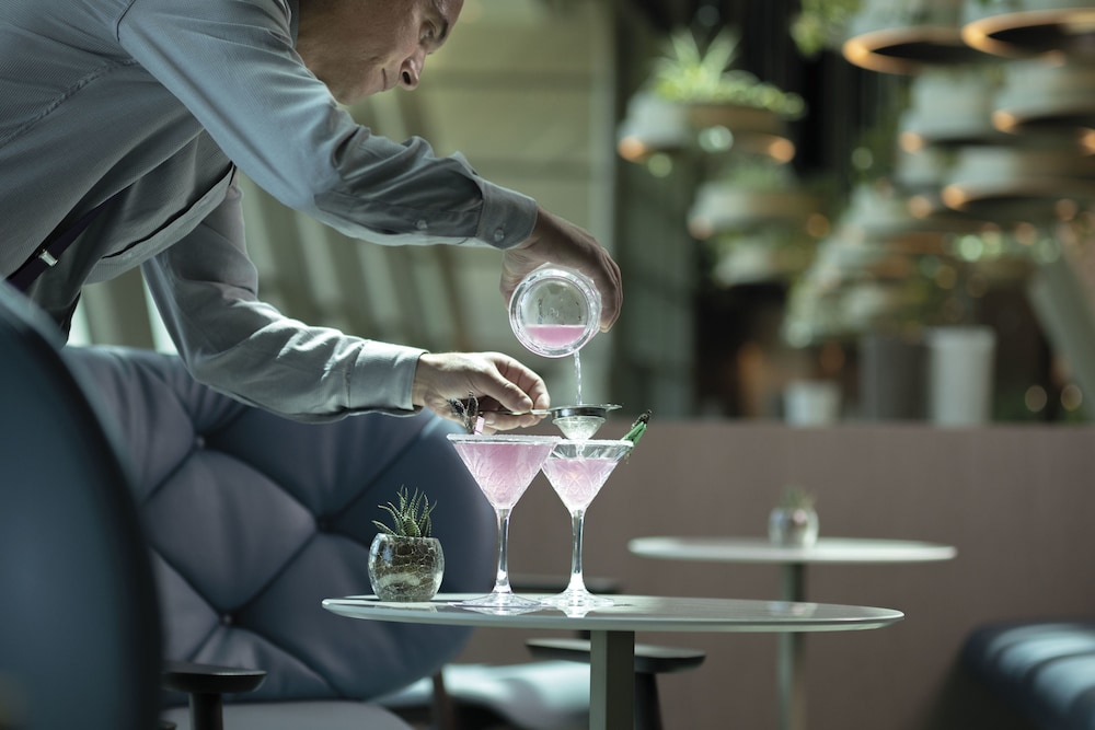 hyatt regency algiers airport