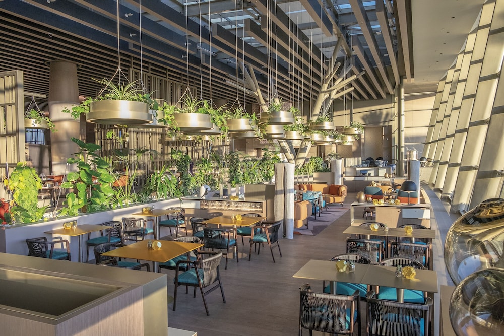 hyatt regency algiers airport