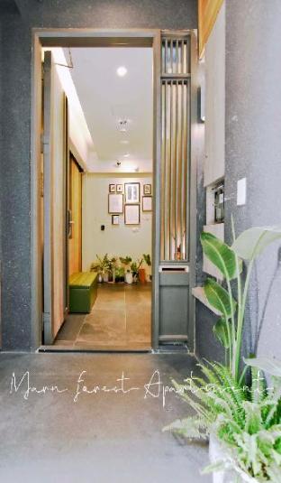 morn forest apartment