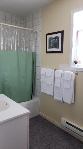 oakwood motel