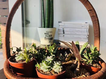 best bed suvarnabhumi hostel