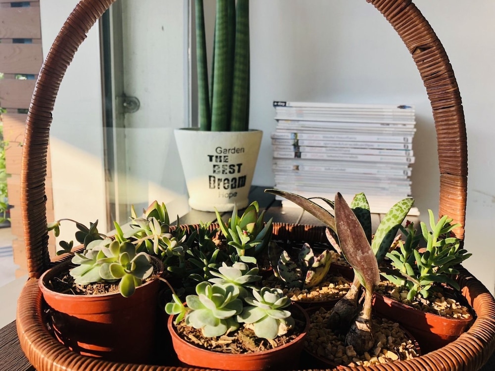 best bed suvarnabhumi hostel