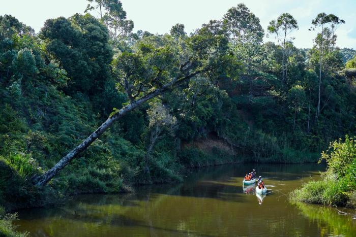 andasibe lemurs lodge