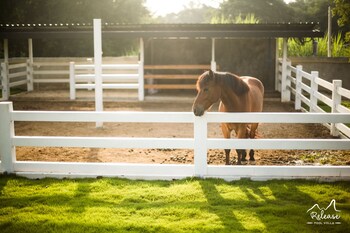 release pool villa resort