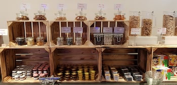 hotel schopenhauer hof