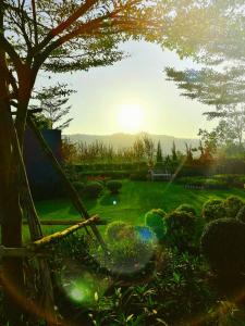 the focus khaoyai resort