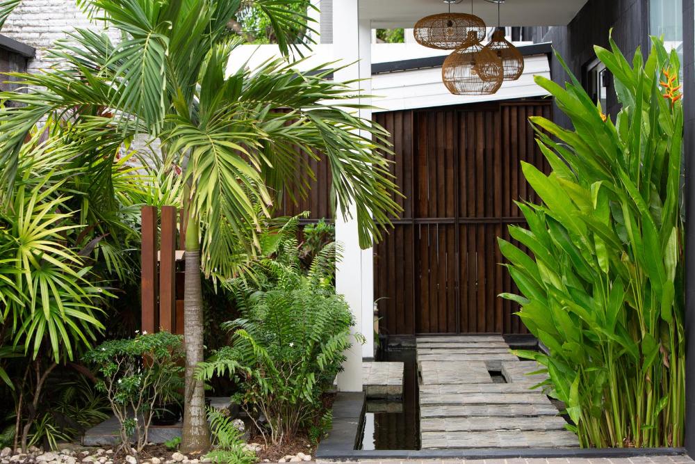 koh samui