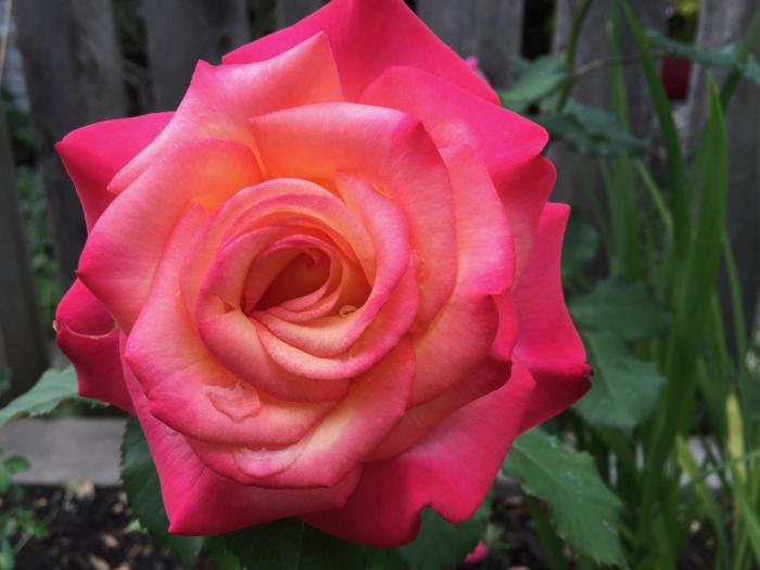 cozy bedrooms guest house