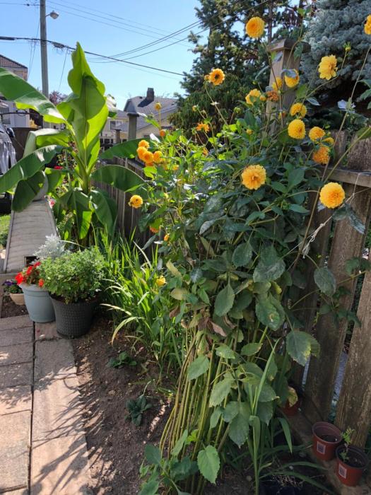 cozy bedrooms guest house