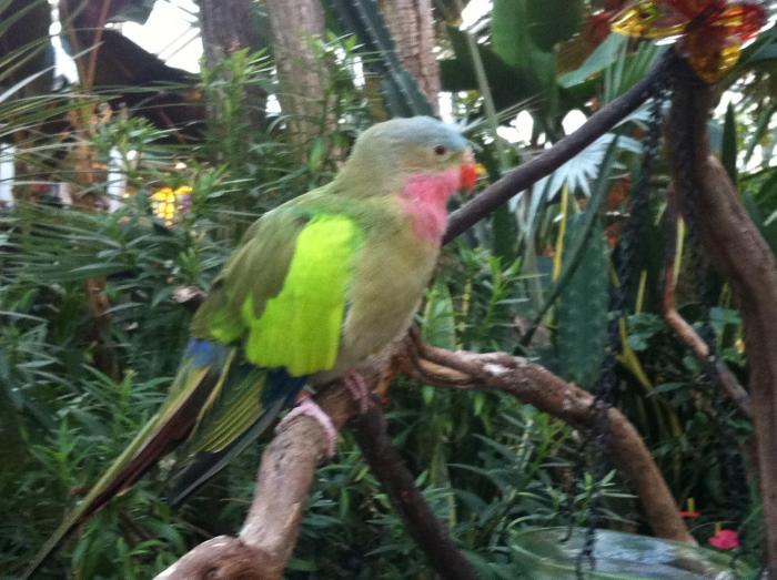 cozy bedrooms guest house