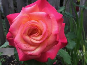 cozy bedrooms guest house