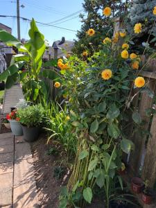 cozy bedrooms guest house