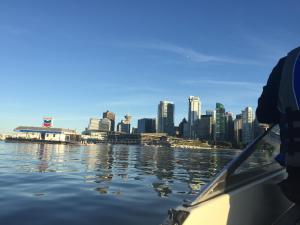 cozy bedrooms guest house