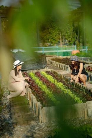 chaba resort chanthaburi