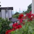 sochi