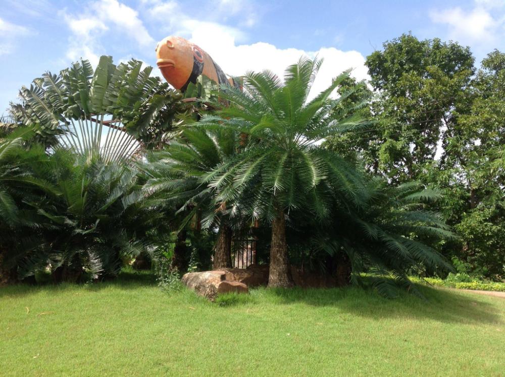 sa kaeo