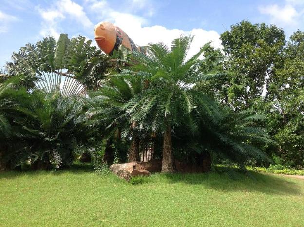 sa kaeo