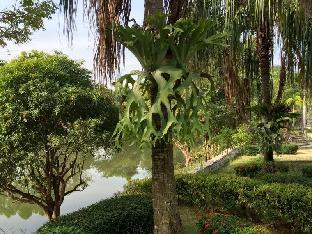 sa kaeo