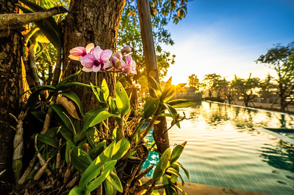 chatnipa beach resort by morseng