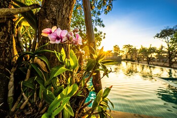 chatnipa beach resort by morseng
