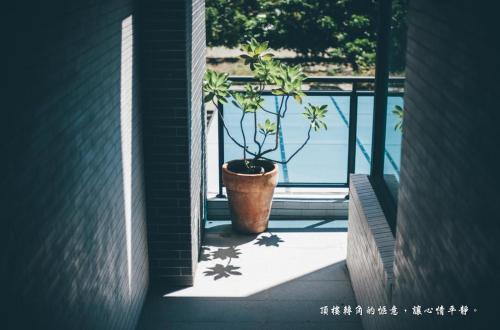 mambo boutique hotel