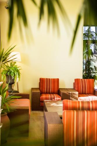oasis hotel