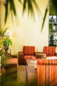 oasis hotel