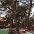 apollo resort