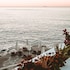 apollo resort