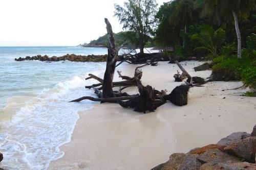 anse possession