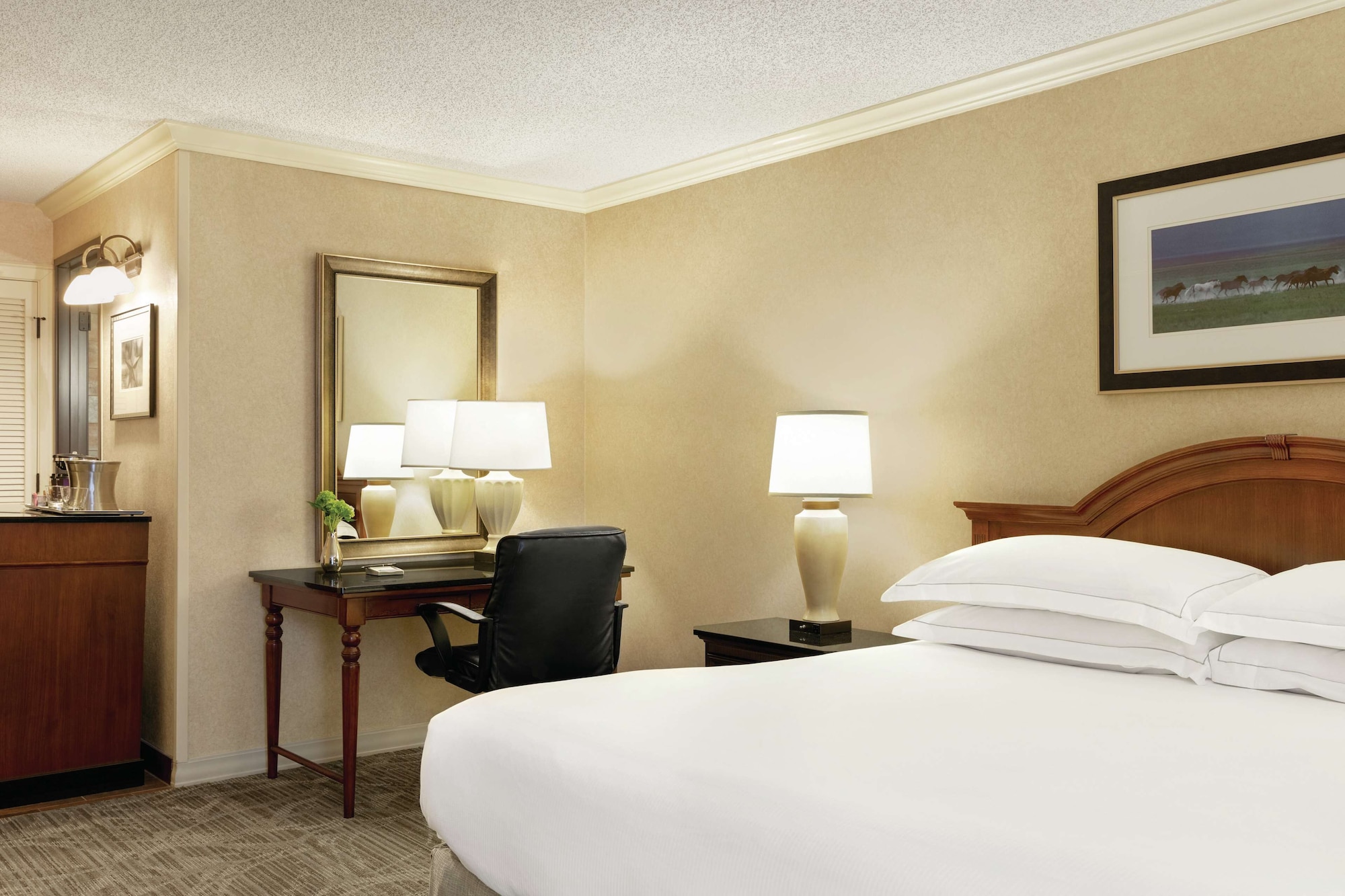 hilton dfw lakes executive conference center