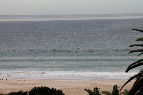 mount lodge humewood