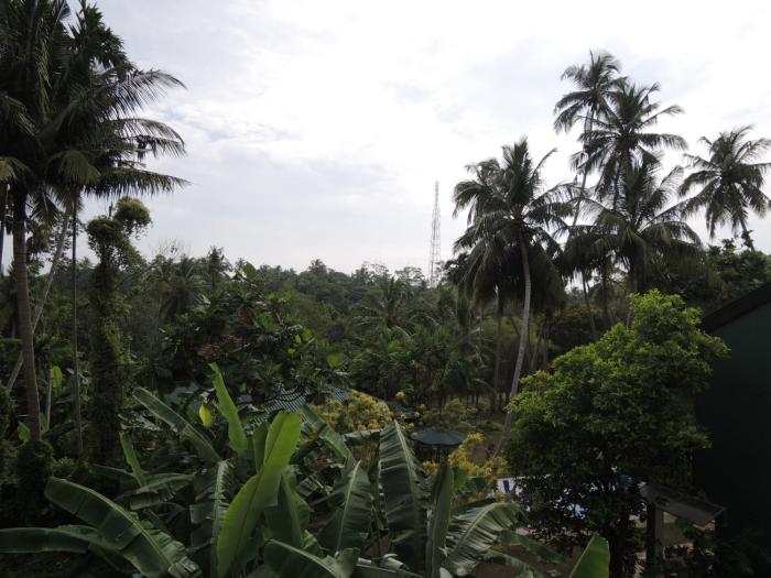 the residence bentota