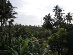 the residence bentota