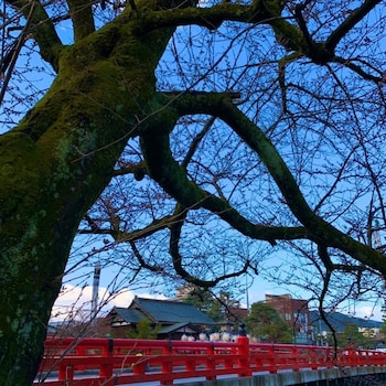 takayama