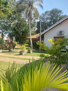 negombo
