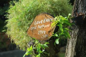 green light holiday village