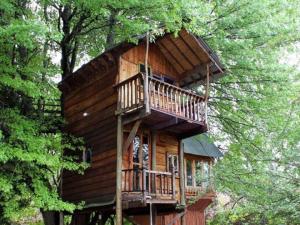 Sycamore Avenue Treehouses,Cathkin Park>>Balgowan,3 star